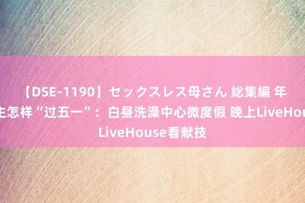 【DSE-1190】セックスレス母さん 総集編 年青东说念主怎样“过五一”：白昼洗澡中心微度假 晚上LiveHouse看献技